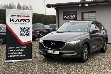 Polski salon, I właściciel