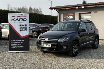 Polski salon / I właściciel